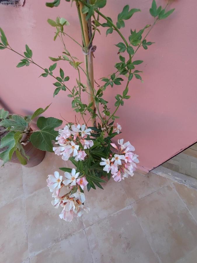 Maison Noe , Residence Al Quaria , Ab40 Marrakesh Buitenkant foto